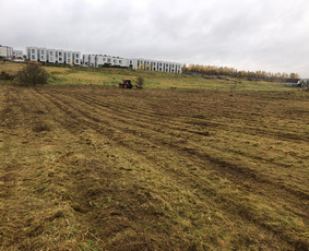 Pievų &scaron;ienavimas - Pievų &scaron;ienavimas, žolės mulčiavimas, kelkra&scaron;čių priežiūra - 2