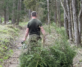 Žolės pjovimas, medžių pjovimas, atliekų išvežimas / Gamtaplius MB / Darbų pavyzdys ID 4400062