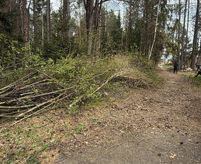 Žolės pjovimas, medžių pjovimas, atliekų išvežimas / Gamtaplius MB / Darbų pavyzdys ID 4400066