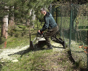 Žolės pjovimas, medžių pjovimas, atliekų išvežimas / Gamtaplius MB / Darbų pavyzdys ID 4400072