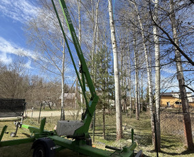 Žolės pjovimas, medžių pjovimas, atliekų išvežimas / Gamtaplius MB / Darbų pavyzdys ID 4400074