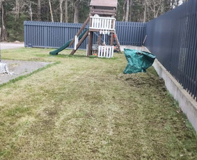 Vejos aeravimas - Žolės pjovimas, medžių pjovimas, atliekų i&scaron;vežimas - 1