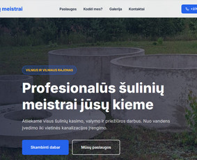 Microsoft Office Excel programavimas - Interneto svetainių kūrimas - 1