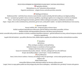 Firminio stiliaus kūrimas - Grafikos dizainerė - 3