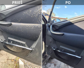 Transportas - Sausas/detalus/cheminis automobilių ir baldų valymas - 2