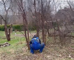 &Scaron;akų i&scaron;vežimas - Aplinkos tvarkymo darbai - 2