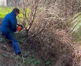 &Scaron;akų i&scaron;vežimas - Aplinkos tvarkymo darbai - 1