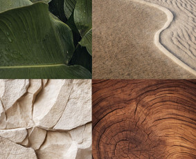 Maketavimas - Grafikos dizainerė - 2