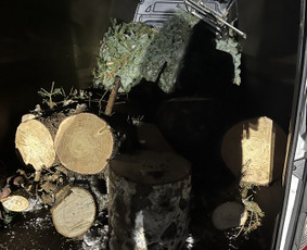 &Scaron;akų i&scaron;vežimas - Žolės pjovimas,aplinkos tvarkymas,&scaron;akų i&scaron;vežimas/smulkinimas - 2