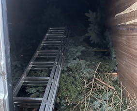 &Scaron;akų i&scaron;vežimas - Žolės pjovimas,aplinkos tvarkymas,&scaron;akų i&scaron;vežimas/smulkinimas - 1