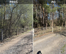 Vaismedžių sodinimas ir priežiūra - Žolės pjovimas,aplinkos tvarkymas,&scaron;akų i&scaron;vežimas/smulkinimas - 3