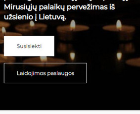 Svetainės prisitaikančios prie visų įrenginių (responsive).