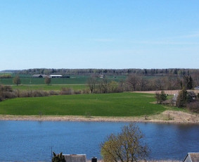 Kitos kategorijos - Nt brokerė / tarpininkė / agentė Kaunas + 100km - 3