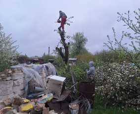 Griovimo ir demontavimo darbai / Mantas Pinkevičius / Darbų pavyzdys ID 4402366
