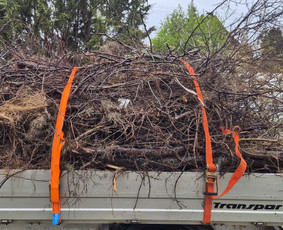 Aplinkos tvarkymas, apželdinimas - Green Sklypai - Sklypu valimas - 1