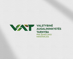 Logotipų kūrimas - Profesionalus grafinis dizainas 14 m. patirtis - 3