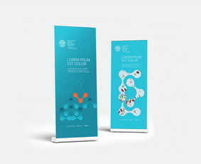 Vizualinis identitetas / Logotipo sukūrimas / Etiketės / Ana / Darbų pavyzdys ID 4403620