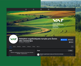 Vizualinis identitetas/ Logotipo sukūrimas/ Spaudos dizainas / Aniuta / Darbų pavyzdys ID 4403634