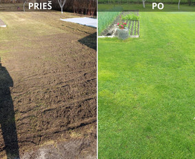 Statybos, apdaila - Pjaunu veją žoliapjove ir trimeriu, i&scaron;ra&scaron;au Sf - 1