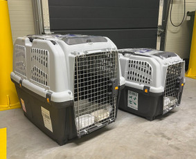 Krovinių pervežimas - Airfreight pet services from Riga airport - 3