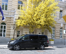 Transportas - Mikroautobuso Mercedes Benz nuoma su vairuotoju - 1