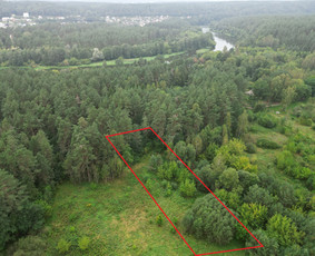 Kitos kategorijos - Nekilnojamojo turto brokeris Darius - 1