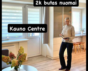 Kitos kategorijos - Profesionali NT brokerė Kaune ir Kauno r. 12 metų patirtis! - 4