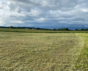 Pievų &scaron;ienavimas - Žolės pjovimas/pievų &scaron;ienavimas - 1