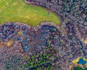 NT fotografija, renginiai, video reelsai per 1-2 dienas / Fotinta / Darbų pavyzdys ID 4405224
