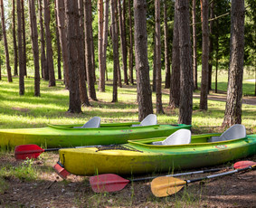 NT fotografija, renginiai, video reelsai per 1-2 dienas / Fotinta / Darbų pavyzdys ID 4405296