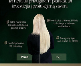 Naujienlaiškių kūrimas, vizualai, brošiūros, katalogai / Evelina Milieškaitė / Darbų pavyzdys ID 4405460