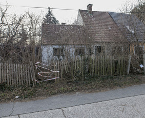 Statybos, apdaila - Žolės, krūmų pjovimas, &scaron;akų i&scaron;vežimas, teritorijos tvarkymas - 2