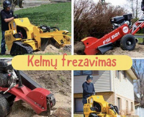 Medžių genėjimas, pjovimas - Kelmų frezavimas naikinimas - 1