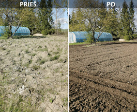 Žemės frezavimas, žolės pjovimas-mulčiavimas / Edvinas / Darbų pavyzdys ID 4406074