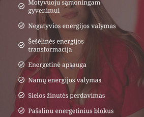 Interneto svetainių kūrimas - Svetainių kūrimas/administravimas - 4
