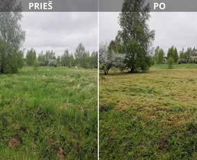 Vejos įrengimas: sėjimas, ruloninė veja - Žemės frezavimas, žolės pjovimas-mulčiavimas - 4