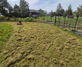 "Vensland" Vejos įrengimas, laistymas, aeracija, lyginimas / "MB Vensland" Tomas Venslovas / Darbų pavyzdys ID 4406764