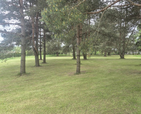 "Vensland" Vejos įrengimas, laistymas, aeracija, lyginimas / "MB Vensland" Tomas Venslovas / Darbų pavyzdys ID 4406766