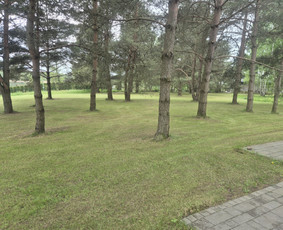 "Vensland" Vejos įrengimas, laistymas, aeracija, lyginimas / "MB Vensland" Tomas Venslovas / Darbų pavyzdys ID 4406768