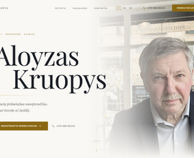 Paslaugos verslui - Premium Web Svetainių Kūrimas, Reklamos, Seo, Logo, dizainas - 4