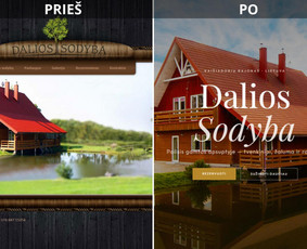Paslaugos verslui - Premium Web Svetainių Kūrimas, Reklamos, Seo, Logo, dizainas - 2
