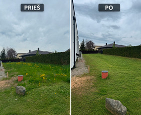 Vejos priežiūra, įrengimas - Vejos priežiūra &Scaron;iauliuose, &Scaron;iaulių rajone - 2