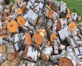 Pagalbiniai darbininkai - Pjauname žolę, skaldome malkas ir kiti pagalbiniai darbai - 2
