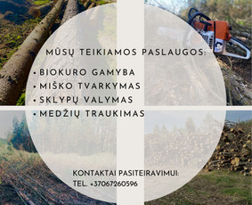 Medžių genėjimas, pjovimas - Apleistų teritorijų tvarkymas - 2