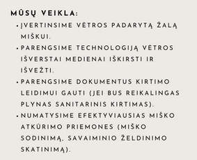 Medžių genėjimas, pjovimas - Apleistų teritorijų tvarkymas - 1