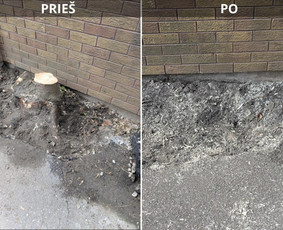 Statybos, apdaila - Kelmų &Scaron;alinimas, Auk&scaron;talipių paslaugos. - 2