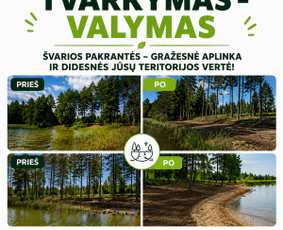 Apleistų sklypų tvarkymas: krūmų frezavimas,kelmų naikinimas / UAB "Aplinkos tvarkymas" / Darbų pavyzdys ID 4410432