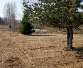 Apleistų sklypų tvarkymas: krūmų frezavimas,kelmų naikinimas / UAB "Aplinkos tvarkymas" / Darbų pavyzdys ID 4410530