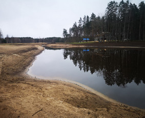 Aplinkos tvarkymas, apželdinimas - Apleistų sklypų tvarkymas: krūmų frezavimas,kelmų naikinimas - 2