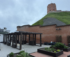 Medžio darbai, staliai - Karkasiniai statiniai, stoginės ir pavėsinės, terasos - 1